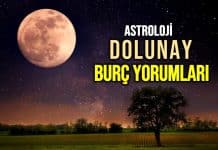 Dolunay burç yorumları