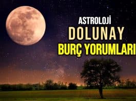 Dolunay burç yorumları