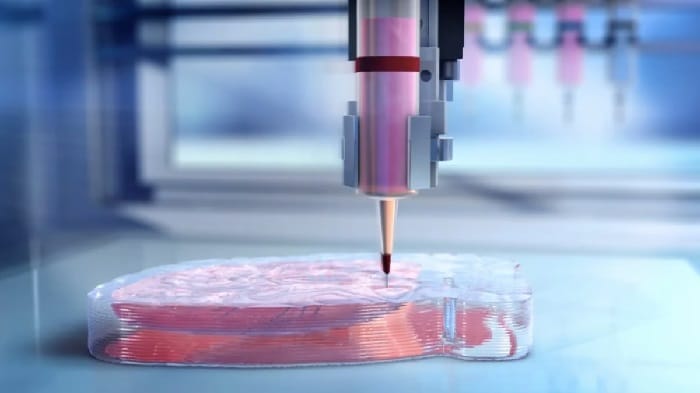 Biyo-baskı bioprinting