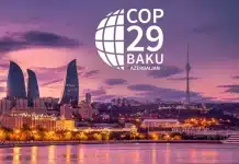 COP29