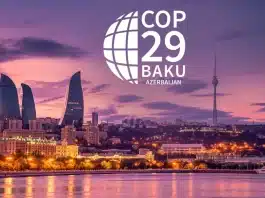 COP29