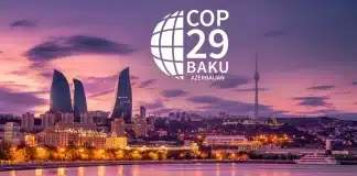 COP29