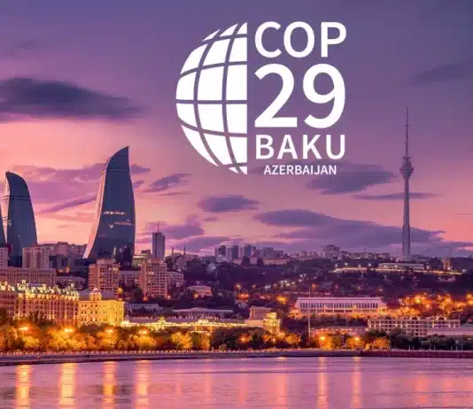 COP29