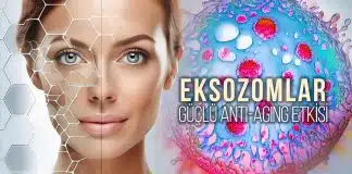 Eksozomlar