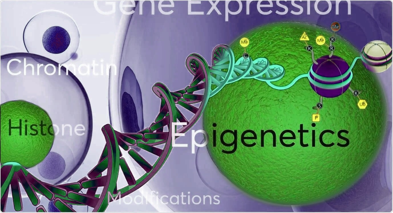 epigenetik gen ifadesi