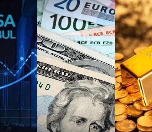 yatırım araçları