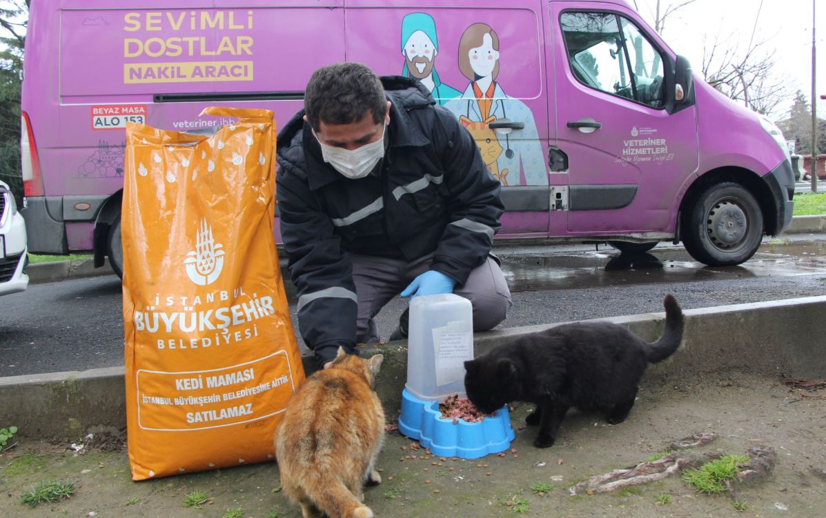 sokak hayvanları mama