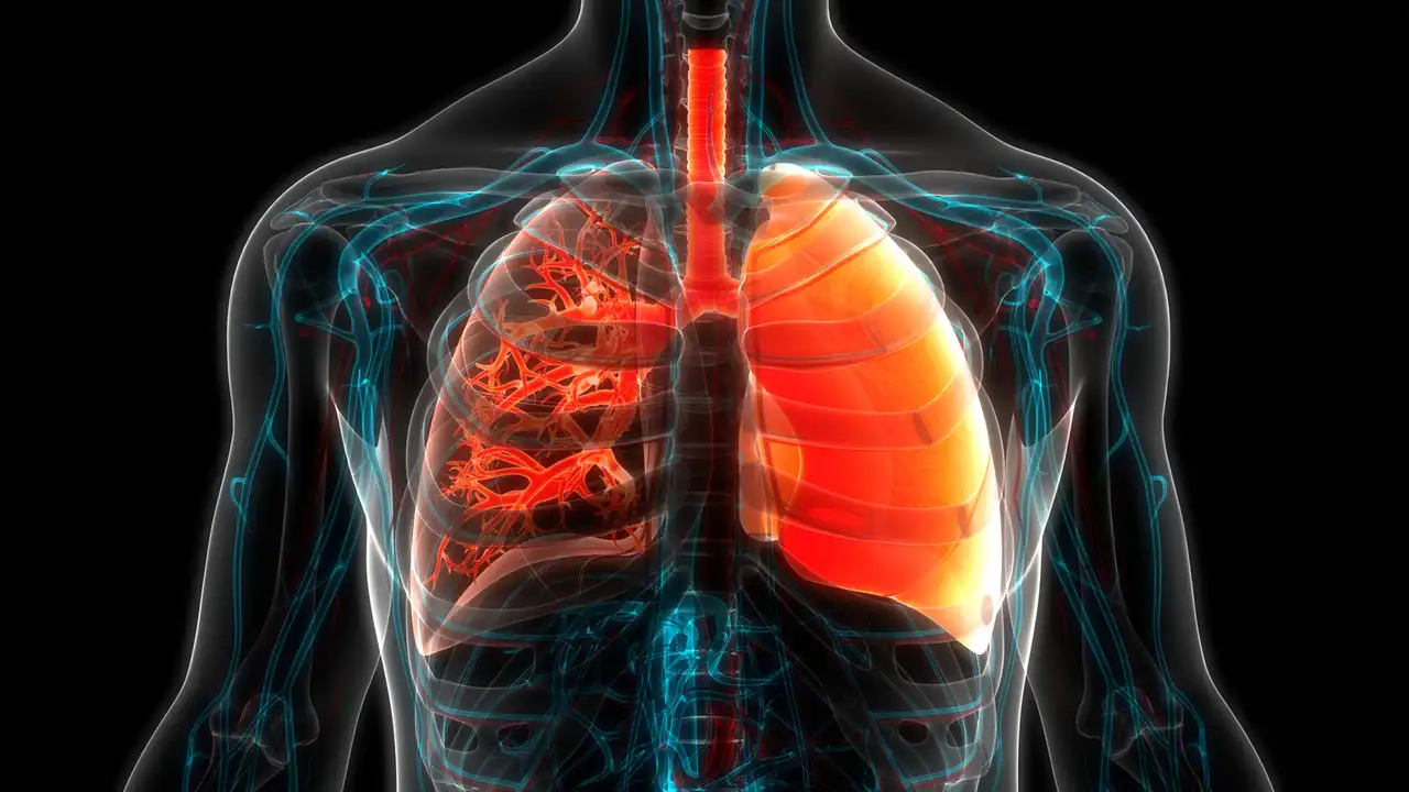 akciğer Pulmoner hipertansiyon