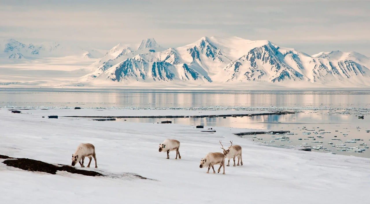 Svalbard Adaları