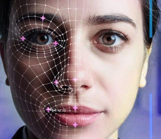 yüz haritalaması