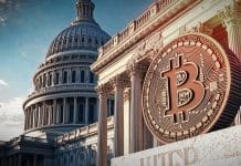 bitcoin genius yasası