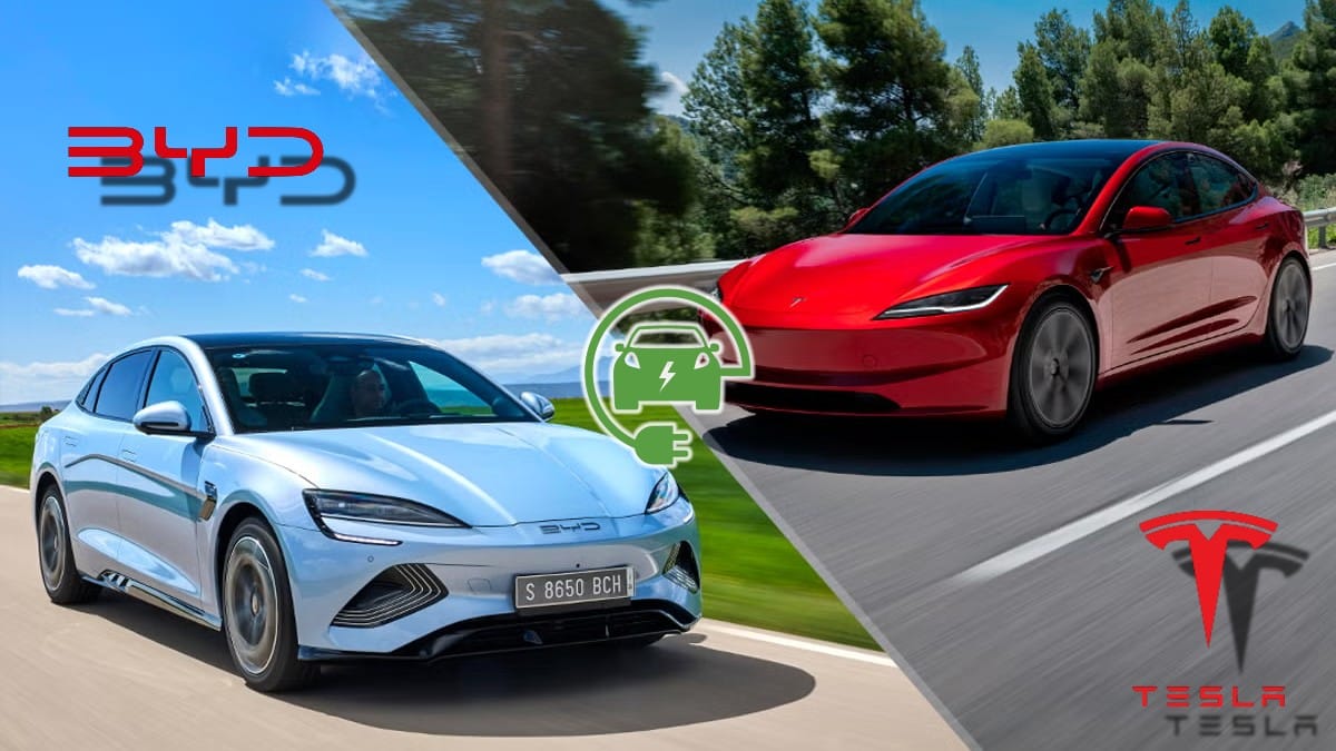 BYD tesla