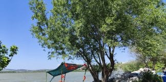 gölyazı