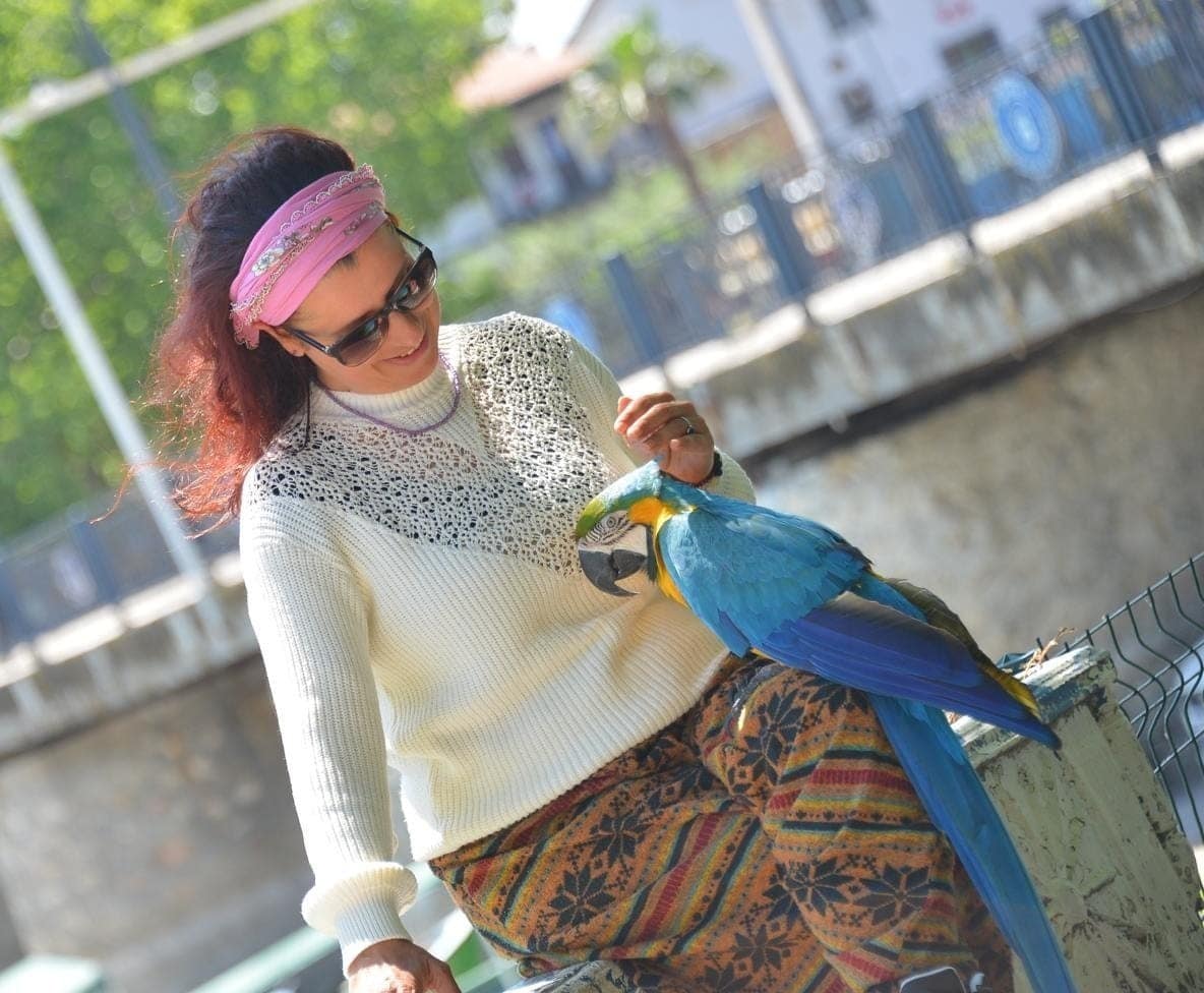 elif mert