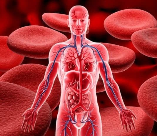 Hematolojik