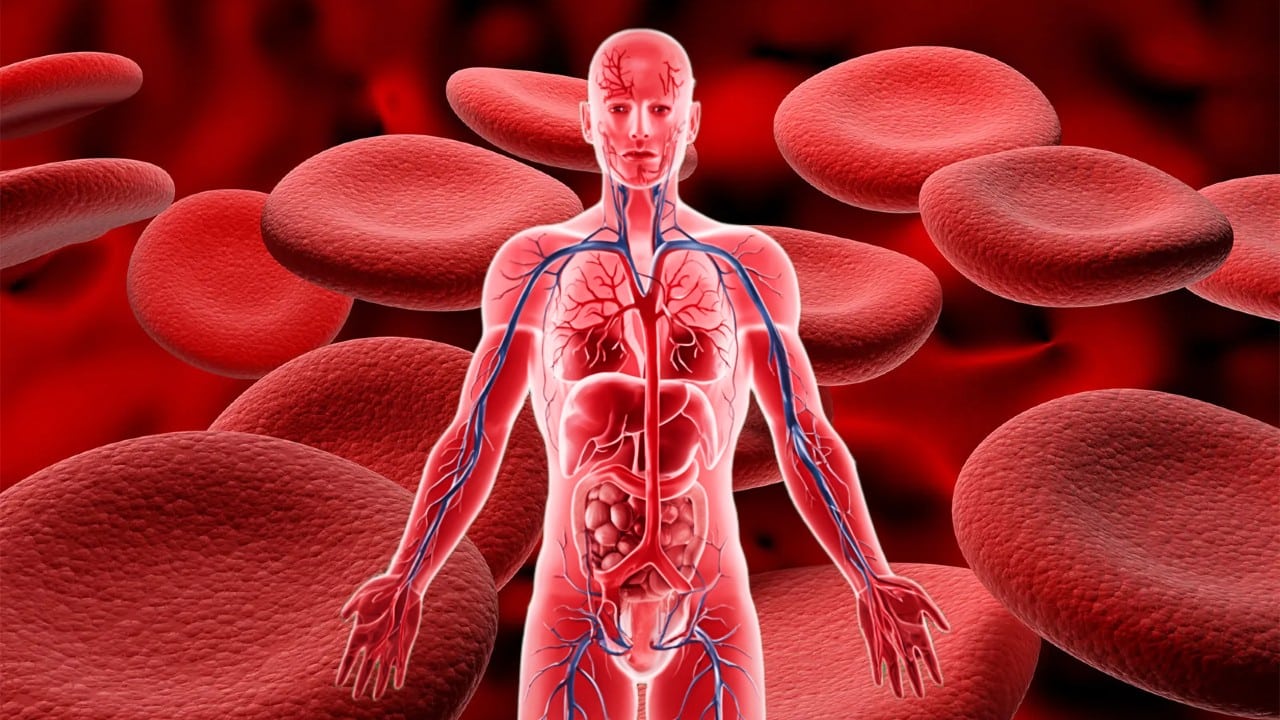 Hematolojik 