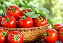 Domatesin sağlığa faydaları