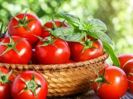 Domatesin sağlığa faydaları