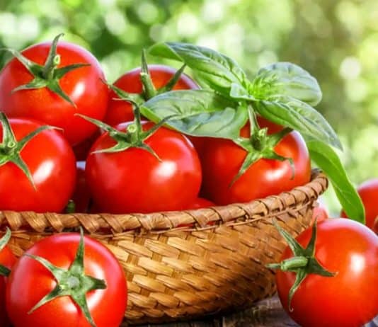 Domatesin sağlığa faydaları
