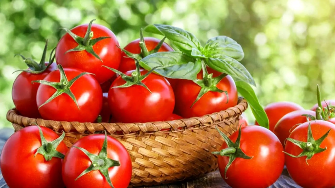 Domatesin sağlığa faydaları
