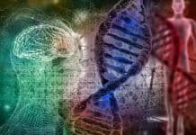 İnsan DNA'sı