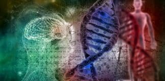 İnsan DNA'sı