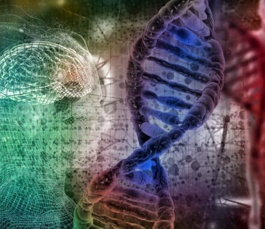 İnsan DNA'sı