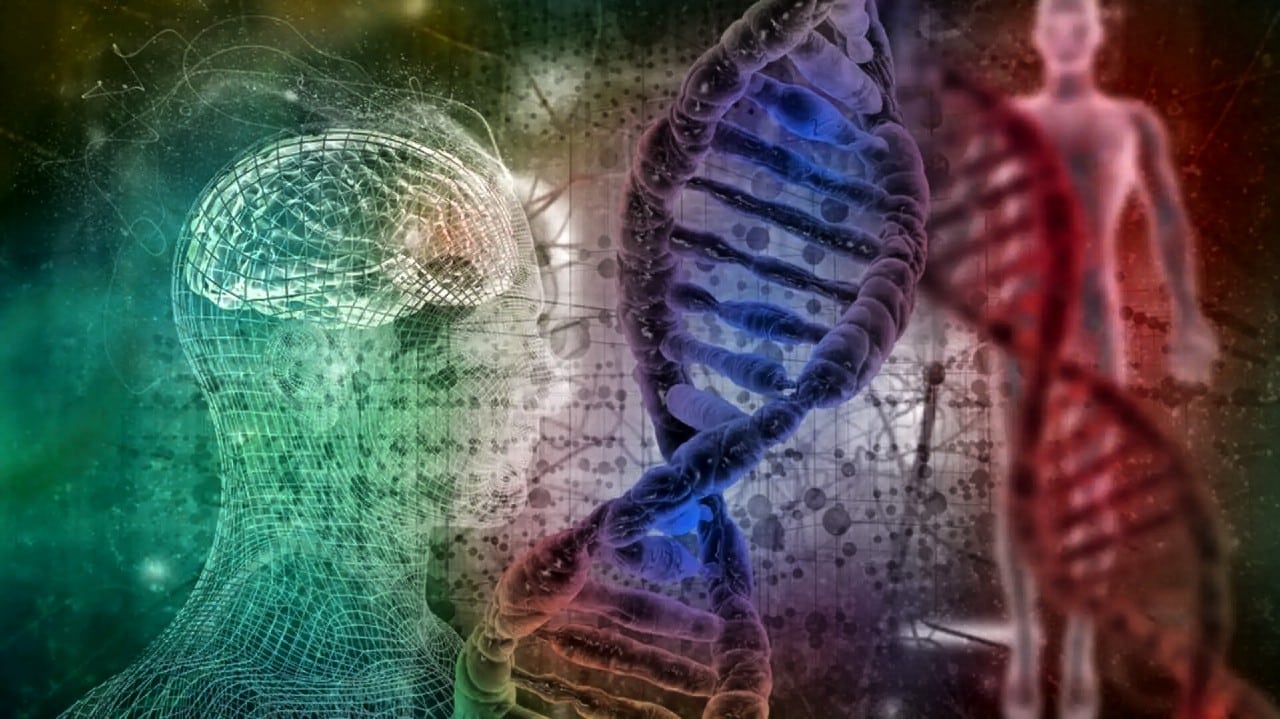 İnsan DNA'sı