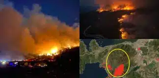 İzmir’de yangınlar sürüyor: Üç büyük yangın kontrol altına alınamadı! İzmir'de yangınlar
