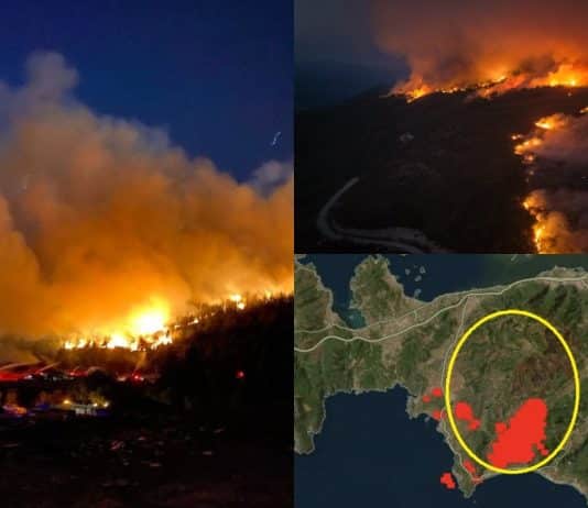 İzmir'de yangınlar