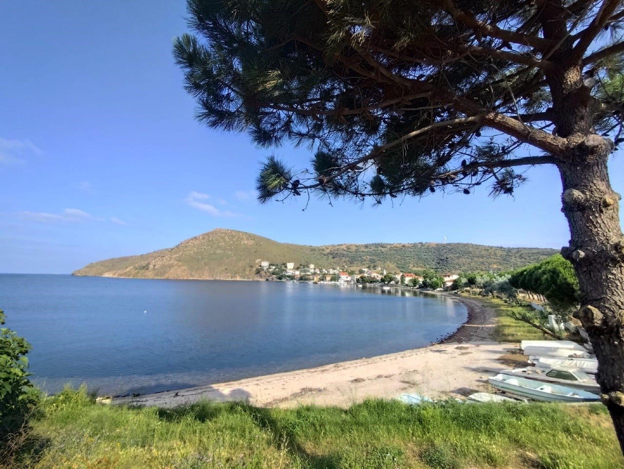 paşalimanı