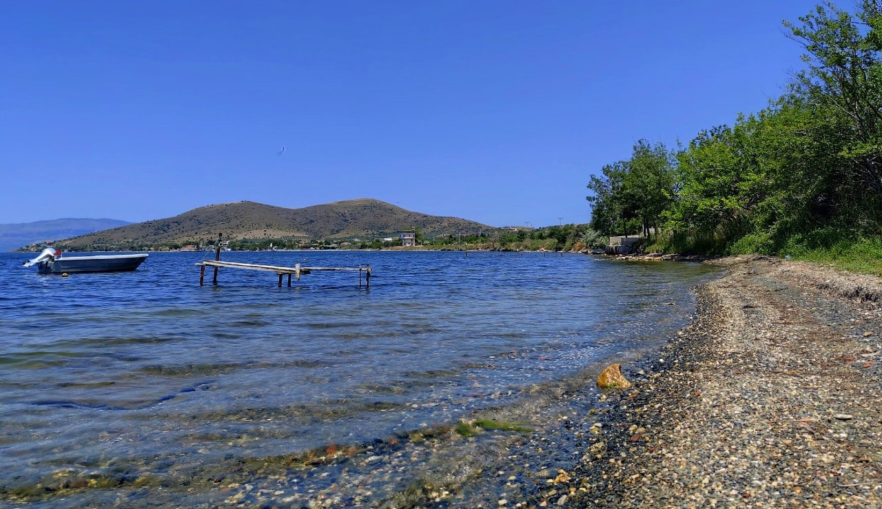 paşalimanı