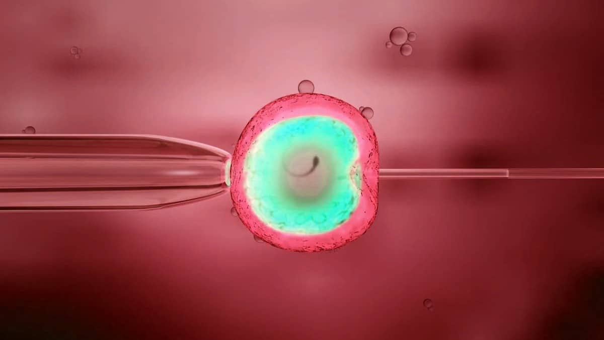 ivf treatment