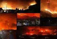 bursa orman yangını