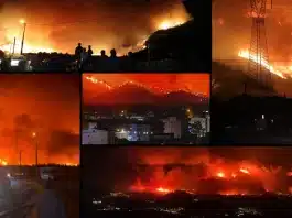 bursa orman yangını