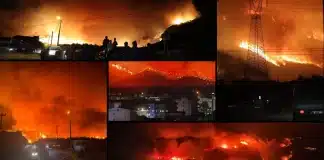 bursa orman yangını