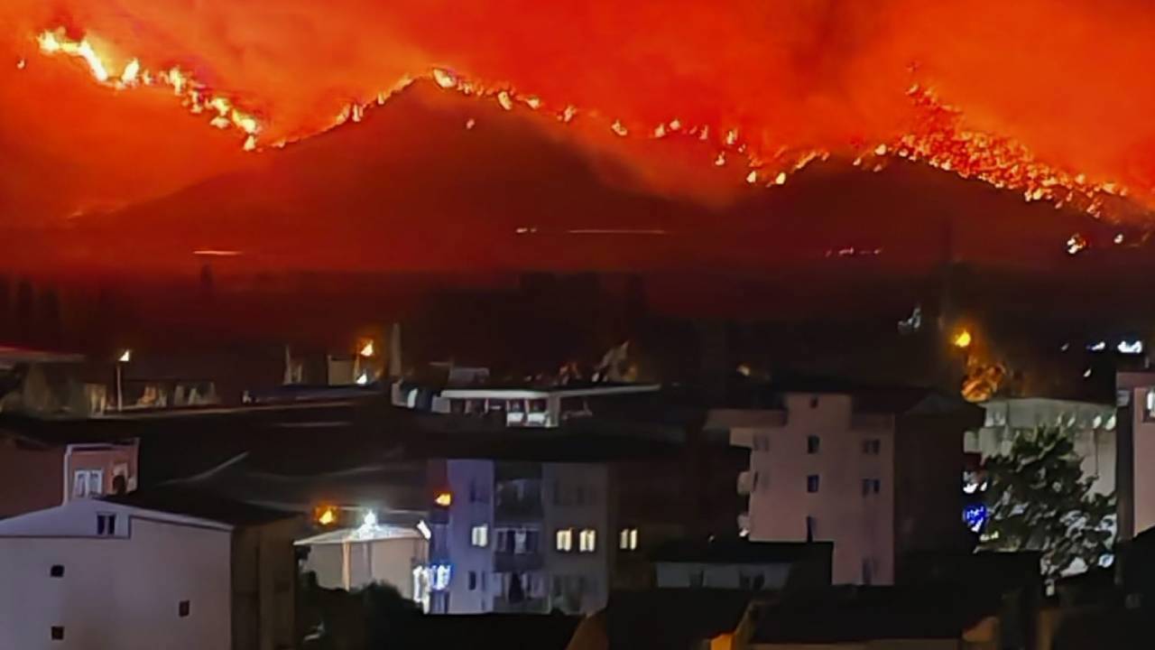 bursa orman yangını