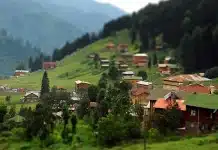 köy hayatı