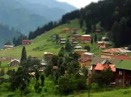 köy hayatı