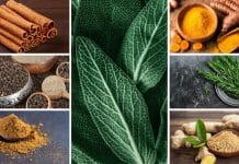 Mikrobiyotayı güçlendiren baharat
