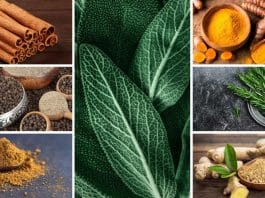 Mikrobiyotayı güçlendiren baharat