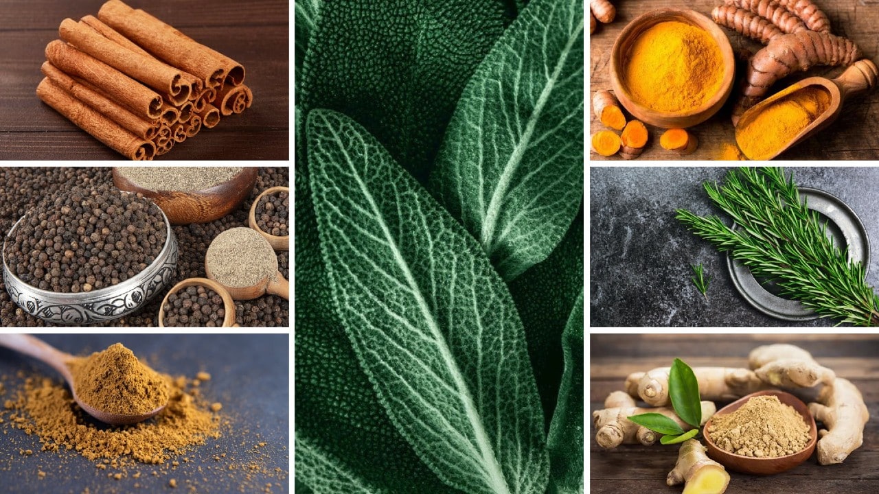 Mikrobiyotayı güçlendiren baharat