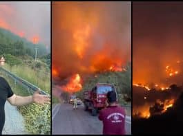 Ödemiş yangını