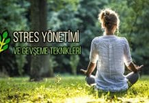 stres yönetimi