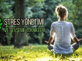 stres yönetimi