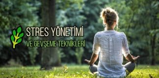 stres yönetimi
