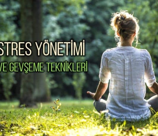 stres yönetimi