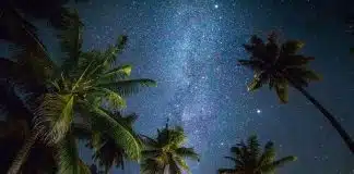 Tropikal gece