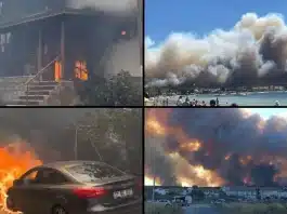 Çanakkale Kepez yangını