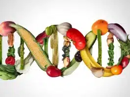 Longevity beslenmesi